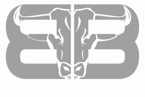 Bullbrush Logo BB White Trans