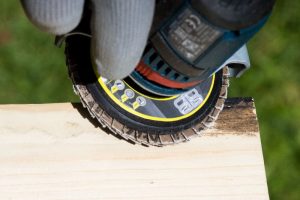 Bullbrush Action Holz1 800x615